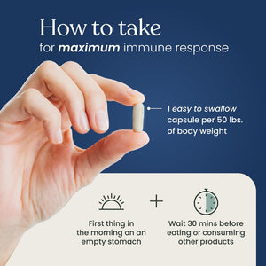 Better Way Healthβ’ - Advanced Immune Readiness - Highly Purified 1,3/1,6 Beta Glucan 500 - Clinically Tested Immune Defense - 500mg/60 Capsules (Pack of 1) Better Way HealthBuy Supplements Australia