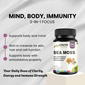 SETNUTRA Well From Within Sea Moss 6 in 1 Super Blend Ashwagandha Burdock Turmeric & Bladderwrack Immunity & Detox Support 60 Veg Capsules Non GMO No Gluten SETNUTRA Well From Within buy supplements Au