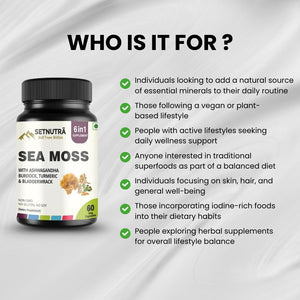 SETNUTRA Well From Within Sea Moss 6 in 1 Super Blend Ashwagandha Burdock Turmeric & Bladderwrack Immunity & Detox Support 60 Veg Capsules Non GMO No Gluten SETNUTRA Well From Within buy supplements Au