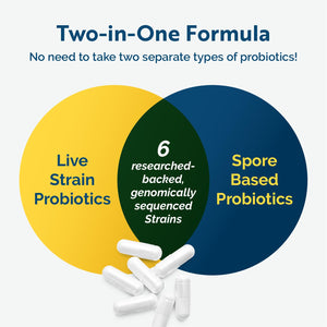 Researched Nutritionals Multi-Biome - Dual-Action Probiotics for Women & Men - Spore + Live Strain Formula with Delayed-Release Capsules for Gut Health, Histamine & Immune Support (30 ct) Researched Nutritionals buy supplements Au