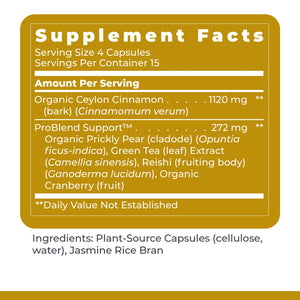 Premier Research Labs PancreVen - Pancreas Support, Pancreas Supplement, Cinnamon Supplements with Organic Ceylon Cinnamon & Prickly Pear to Aid Pancreas Health - 120 Vegetarian Capsules Premier Research LabsBuy Supplements Australia