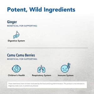 NORTH AMERICAN HERB & SPICE Inflam-eeZ - 90 Capsules - Supports Healthy Immune & Inflammatory Response - Ginger Root, Camu Camu Berries, Bromelain & Papain Plus - Non-GMO - 45 Total Servings NORTH AMERICAN HERB & SPICEΒ buy supplements Au