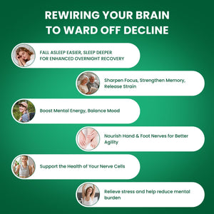 PhosphatidylSerine Memory & Focus Supplement with DHA, Spearmint, Magnesium & Ashwagandha – Brain Clarity, Stress Relief & Cognitive Support – Gluten-Free Vegan, 60 Capsules LIFEFRIENDBuy Supplements Australia