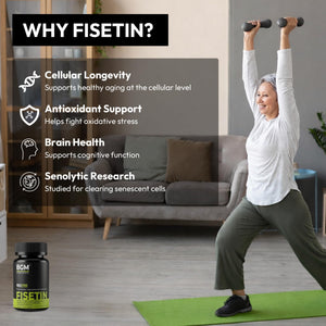 BGM Fisetin 500mg Supplement | Smoke Tree Extract (Cotinus coggygria) | 98% Pure Senolytic Antioxidant | Vegan Capsules | Supports Brain Health & Healthy Aging BGM Better Goods, Better YouBuy Supplements Australia