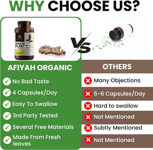 Afiyah Organic - Premium Quality Costus Igneus (Insulin Plant) Capsules - Easy to Swallow 120 Veggie Capsules (1 Month Supply) - Made in the USA - Including Complete Health Support Program Afiyah OrganicΒ buy supplements Au