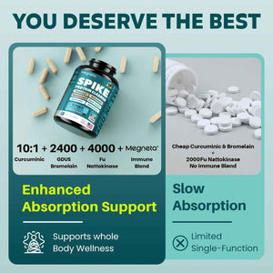 MEGNETA Spike Support - Nattokinase 20,000 FU/g, Bromelain 500mg & Curcumin 800mg – Triple-Action Enzyme Complex with Quercetin & Dandelion – Cardiovascular, Circulatory, Antioxidant & Immune Support