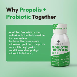 Bee and You Propolis Immune Shot, Probiotic, Vitamin C, Vitamin D3, Zinc, Ginger, Immune Support, Gut Health, Digestive Health, Bioactive 1.69 Fl. oz, 12 Pack BEE & YOU buy supplements Au
