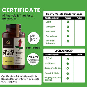 Afiyah Organic - Premium Quality Costus Igneus (Insulin Plant) Capsules - Easy to Swallow 120 Veggie Capsules (1 Month Supply) - Made in the USA - Including Complete Health Support Program Afiyah OrganicΒ buy supplements Au