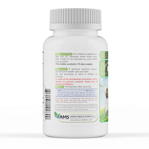 America Medic & Science WFS Plus Fertility Supplements for Women (90 Capsules) Supports Ovulatory Health | Natural Preconception Vitamins, Reproductive Aid, with D-Chiro Inositol, DHA |15-Day Supply. America Medic & ScienceBuy Supplements Australia
