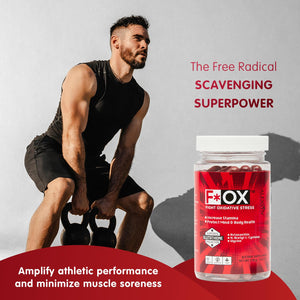Alexsyn Antioxidant Support Formula β Concentrated Vegan & Gluten-Free Capsules β Helps Defend Against Oxidative Stress and Maintain Daily Vitality β 60 Capsules AlexsynBuy Supplements Australia
