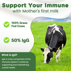 MICYDELAS Bovine Colostrum Supplement Powder 50% IgG Premium Bovine Colostrum for Gut Health Support, Immune Support, Muscle Recovery & Overall Wellness, Grass Fed, Non-GMO, Unflavored, 60 Servings MICYDELAS buy supplements Au