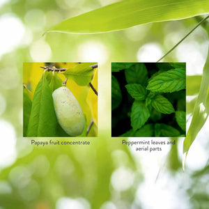 Papaya & Peppermint by Nature's Sunshine Nature's SunshineBuy Supplements Australia