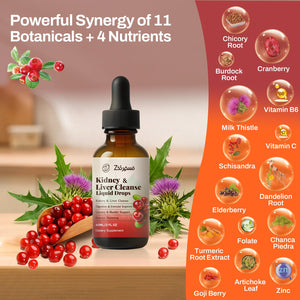 Zeolite Detox Drops for Kids & Kidney Cleanse Drops for Adults - Liquid Supplement Duo with Vitamins C B12 D3, Cranberry, Chanca Piedra, Milk Thistle & Herbal Blend - Mixed Berry & Cranberry Flavor, 6 Pavintrix buy supplements Au