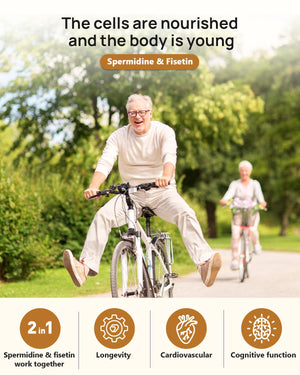 Spermidine 20mg + Fisetin 300mg + Akkermansia for Women丨Cellular Renewal, Metabolic & Gut Health Anven Health buy supplements Au