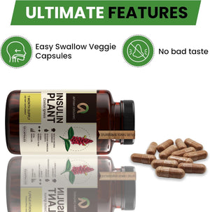 Afiyah Organic - Premium Quality Costus Igneus (Insulin Plant) Capsules - Easy to Swallow 120 Veggie Capsules (1 Month Supply) - Made in the USA - Including Complete Health Support Program Afiyah OrganicΒ buy supplements Au