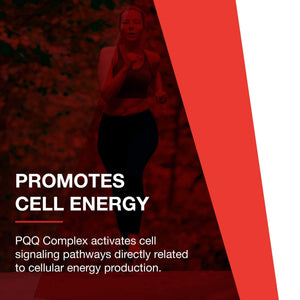 PROTOCOL FOR LIFE BALANCE PQQ Complex - Mitochondrial Health - with CoQ10 & L Carnitine - B Vitamin - Supplement for Energy - 30 Veg Caps PROTOCOL FOR LIFE BALANCE buy supplements Au
