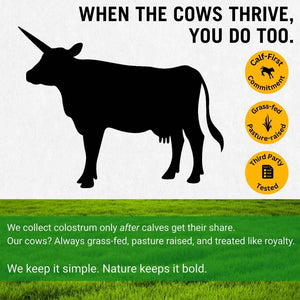 Bold Belly Colostrum Powder Supplement - Whole Cream Bovine Colostrum for Gut & Immune Support, Grass-Fed USA Cows, Cold-Processed