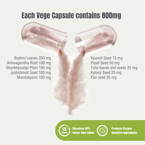 Herbsforever Omega Mind - Support Brain Function, Cognitive, Memory, Mental Clearity |Consentration,with Bacopa, Ashwagandha, Mucuna 10 Ayurvedic Herb Extracts|90 Veg Capsules|800 mg Herbsforever buy supplements Au