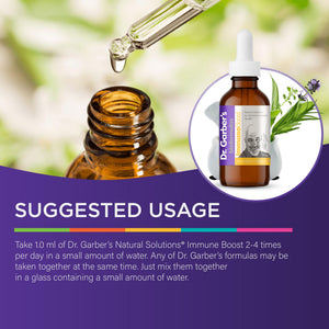Dr. Garber's Natural Solutions Immune Boost Health Oral Drops - Gemmotherapy Liquid Supplement to Strengthen Immunity, Support Immune System, Increase Resistance, & Contains Antioxidants - 60ml DR.GARBER'SÂ buy supplements Au