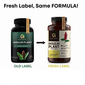 Afiyah Organic - Premium Quality Costus Igneus (Insulin Plant) Capsules - Easy to Swallow 120 Veggie Capsules (1 Month Supply) - Made in the USA - Including Complete Health Support Program Afiyah OrganicΒ buy supplements Au