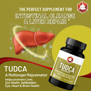Onpharno TUDCA Advance β 250mg TUDCA, NAC, Milk Thistle, Dandelion, Burdock & Picrorhiza Extract β 30 Liquid-Filled Veg Capsules
