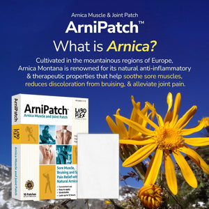 LABOFLEX Arnipatch Natural Arnica Pain Relief Hydrogel Patches โ Long Lasting Relief for Muscle Soreness, Swelling, Inflammation, Stiffness & Injury on Back, Knee & Neck (Box, 10, Count) LABOFLEXBuy Supplements Australia