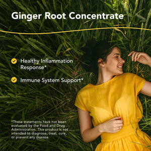 NORTH AMERICAN HERB & SPICE Inflam-eeZ - 90 Capsules - Supports Healthy Immune & Inflammatory Response - Ginger Root, Camu Camu Berries, Bromelain & Papain Plus - Non-GMO - 45 Total Servings NORTH AMERICAN HERB & SPICEΒ buy supplements Au