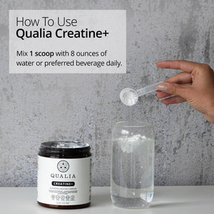 Qualia Creatine | Advanced Creatine Complex | 2 Sources + Magnesium | Optimized Absorption | Muscle Performance, Brain Function, & Healthy Aging (30 Servings) QUALIA LIFE SCIENCES buy supplements Au
