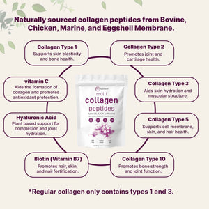 Micro Ingredients Multi Collagen Peptides Powder, 1lb β Hydrolyzed Type I,II,III,V,X with Biotin, Hyaluronic Acid, Vitamin C β Unflavored Collagen