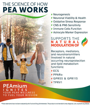 Palmitoylethanolamide 450mg Comfort Mobility Nerves Cognitive & Immune Support - Micronized High Absorption - All Natural Pea - USA Made - No Additives or Excipients – 60 Vegan Capsules Supplement Awakened.energyBuy Supplements Australia