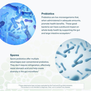 Youtheory Spore Probiotic - Helps Gut Health* - 6 Billion CFU with Prebiotics - Supports Regular Bowel Movement & Diarrhea Relief* - Shelf Stable - 60 Vegetarian Capsules (30-Day Supply) YoutheoryBuy Supplements Australia
