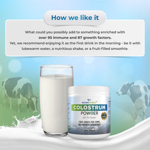 WELLNESS EXTRACT Bovine Colostrum Powder Rich in Protein & Lactoferrin- The True Certified Supplement for Immune Support, Gut Health, Muscle Growth - 150g WELLNESS EXTRACTBuy Supplements Australia