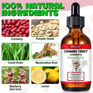 Cat Urinary Tract Infection Treatment, Cat UTI Treatment Drops Supports Bladder, Kidney Stone, Cranberry Kidney Bladder Support Supplement, Chicken Flavor, 60ml BTQAFVZTBuy Supplements Australia