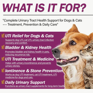 NUTRIARISE Natural UTI Treatment for Cats & Dogs – Antibiotic-Free Urinary Tract Infection Support Supplement – Bladder & Kidney Health – Incontinence Prevention – 30 Capsules NUTRIARISEBuy Supplements Australia