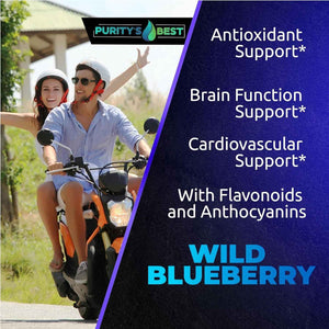 Purity’s Best Wild Blueberry Extract, Rich in Flavonoids & Anthocyanins, Antioxidant Support for Brain & Heart Health, 4-Month Supply