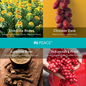 In:TotalWellness IN:Peace Herbal Calming Formula. 20 Serving Pouch, Wild Berry Flavor. 9 Herb Antioxidant + Adaptogen Blend. Clinically Proven Ingredients. Crafted by a Licensed Herbalist INTotalWellnessΒ buy supplements Au