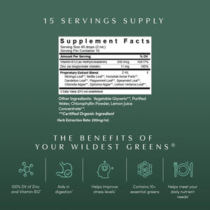 Apothékary Your Wildest Greens Herbal Liquid Drops, All-in-One Daily Superfood Supplement, Vitamin & Mineral Support, 5X Potency of Greens Powders, Sugar Free, Calorie Free, (15 Servings) 1.22oz ApothékaryBuy Supplements Australia