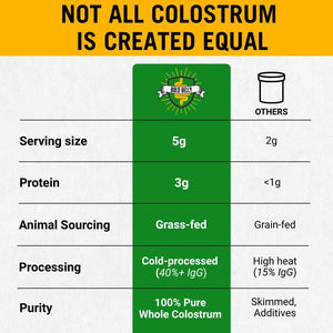 Bold Belly Colostrum Powder Supplement - Whole Cream Bovine Colostrum for Gut & Immune Support, Grass-Fed USA Cows, Cold-Processed