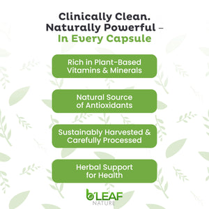 B'LEAF NATURE Moringa and Quercetin Bundle - Non-GMO, Vegan, High Absorption Capsules - 1000mg Quercetin Phytosome Blend + 1000mg Moringa - Natural Energy, Wellness and Immune Support Supplements B'LEAF NATURE buy supplements Au