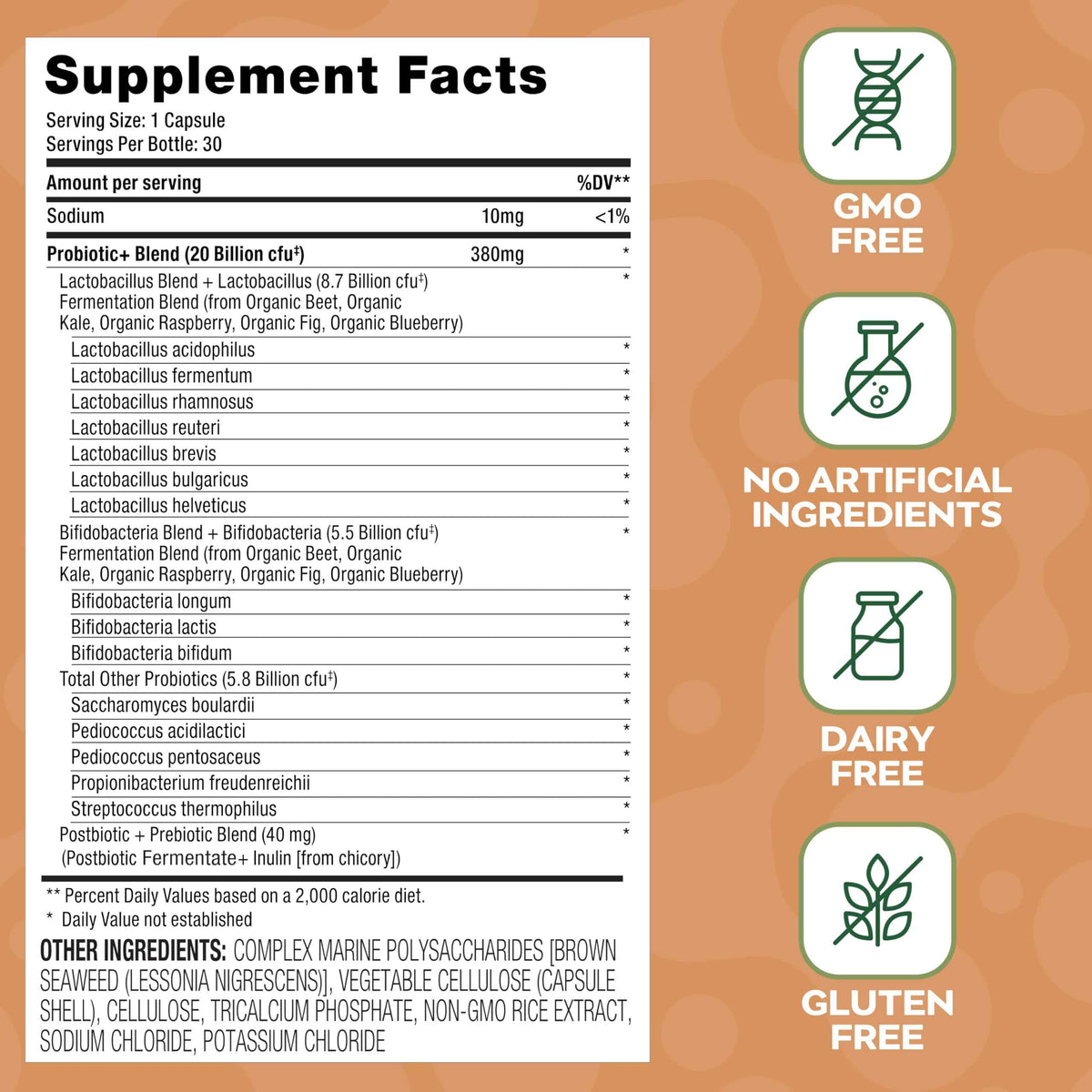 Social Naturals Daily Probiotic Capsules for Gut Health & Bloating | Bifidobacterium | Multi-Strain with Prebiotic + Postbiotic | 20 Billion CFU | Vegan | 30 Capsules