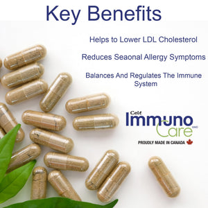 Celt Immunocare 60 v-caps - Potent Seasonal Allergy Blend - Adult Immunity Support - Cholesterol Modulator - Plant Sterols Ultra Strength - 7 Key Immunity Enhancing Ingredients Celt Immuno-CareBuy Supplements Australia