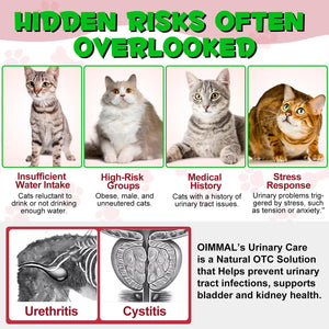 Cat Urinary Tract Infection Treatment, Cat UTI Treatment Drops Supports Bladder, Kidney Stone, Cranberry Kidney Bladder Support Supplement, Chicken Flavor, 60ml BTQAFVZTBuy Supplements Australia