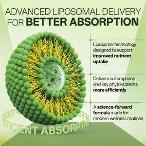 Liposomal Sulforaphane 500mg Supplement from Broccoli Extract with Quercetin, Black Pepper & Vitamin C – Antioxidant, Detox & Cellular Support, Cellular Health Formula for Men & Women, 60 Capsules inGreensBuy Supplements Australia