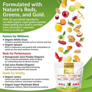 Granite Nutrition Vital Shield - USDA Organic Superfood Greens with Mushrooms & Tart Cherry – Supports Energy, Immune Function & Digestive Health – Lemon Lime Flavor (30 Servings) Granite SupplementsBuy Supplements Australia