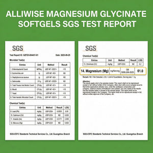 Magnesium Glycinate 500mg Softgels Supplement, Small Easy to Swallow Magnesium Gelcaps High Absorption for Night Leg&Sleep Support, Muscle&Bone, Calm, Non GMO, 120 Gelcaps, 60 Day Supply AlliwiseBuy Supplements Australia
