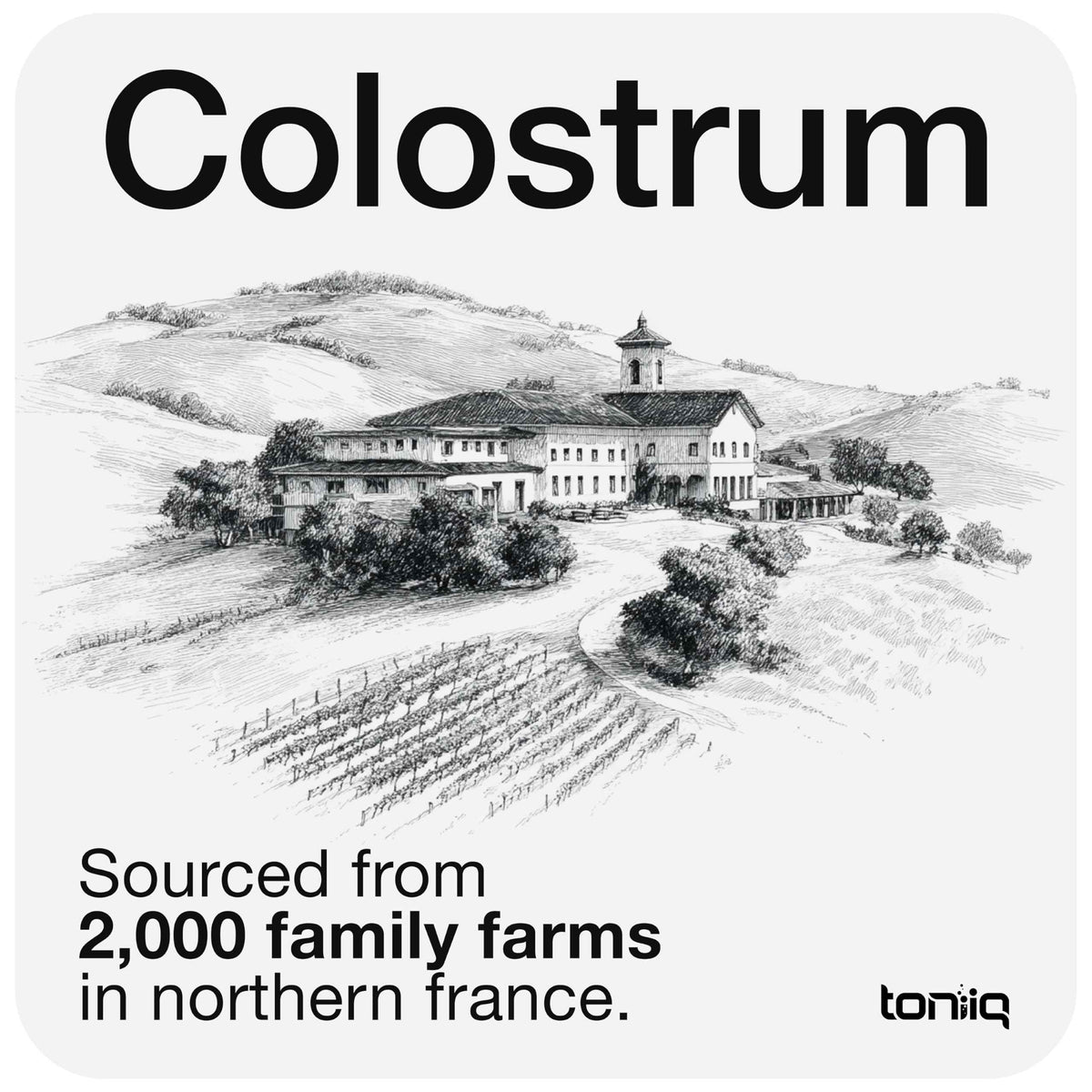 Toniiq Bovine Colostrum Powder Supplement 2000mg - 50% IgG for Gut Health, Immune Support & Skin - French Colostrum Farm-to-Jar Traceable