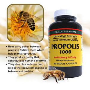 Y.S. Organic Bee Farms Propolis-Raw Unprocessed 1000mg - Your Gateway to Wellness - 90 Capsules with Bonus worldwidenutrition Multi Purpose Key Chain Worldwide Nutrition buy supplements Au